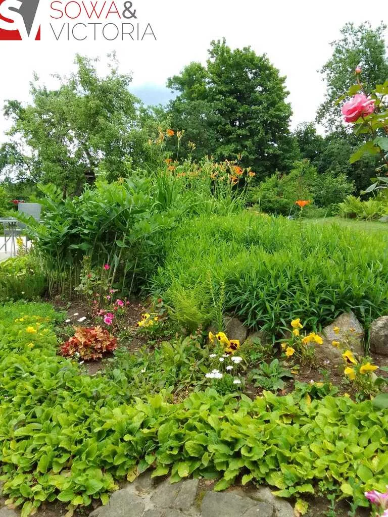 Dom i rezydencja 95,00 m², oferta nr , 414/14328/ODS, Walim