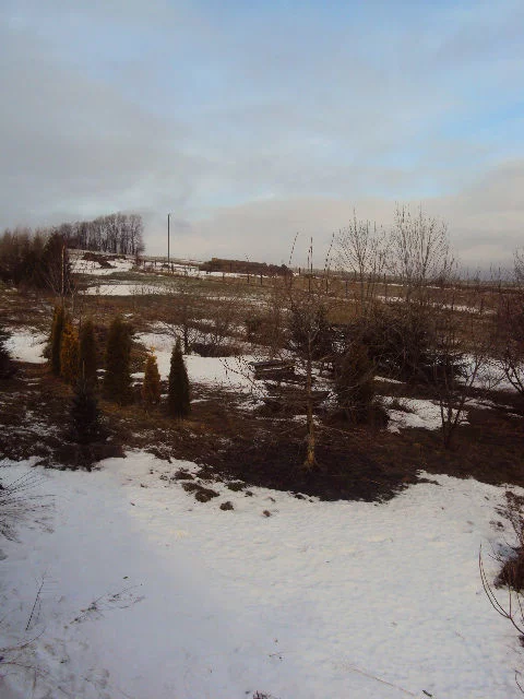 Dom 500,00 m², oferta nr , 63/14328/ODS, Niedźwiedzica