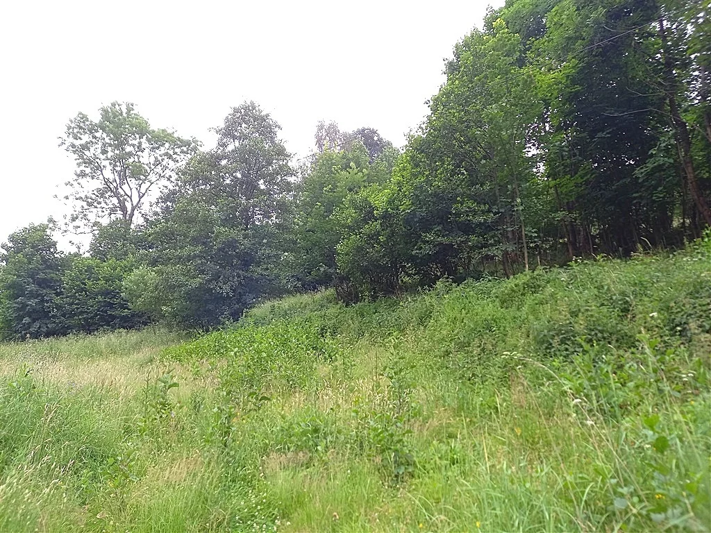 Dom 200,00 m², oferta nr , 152/14328/ODS, Walim