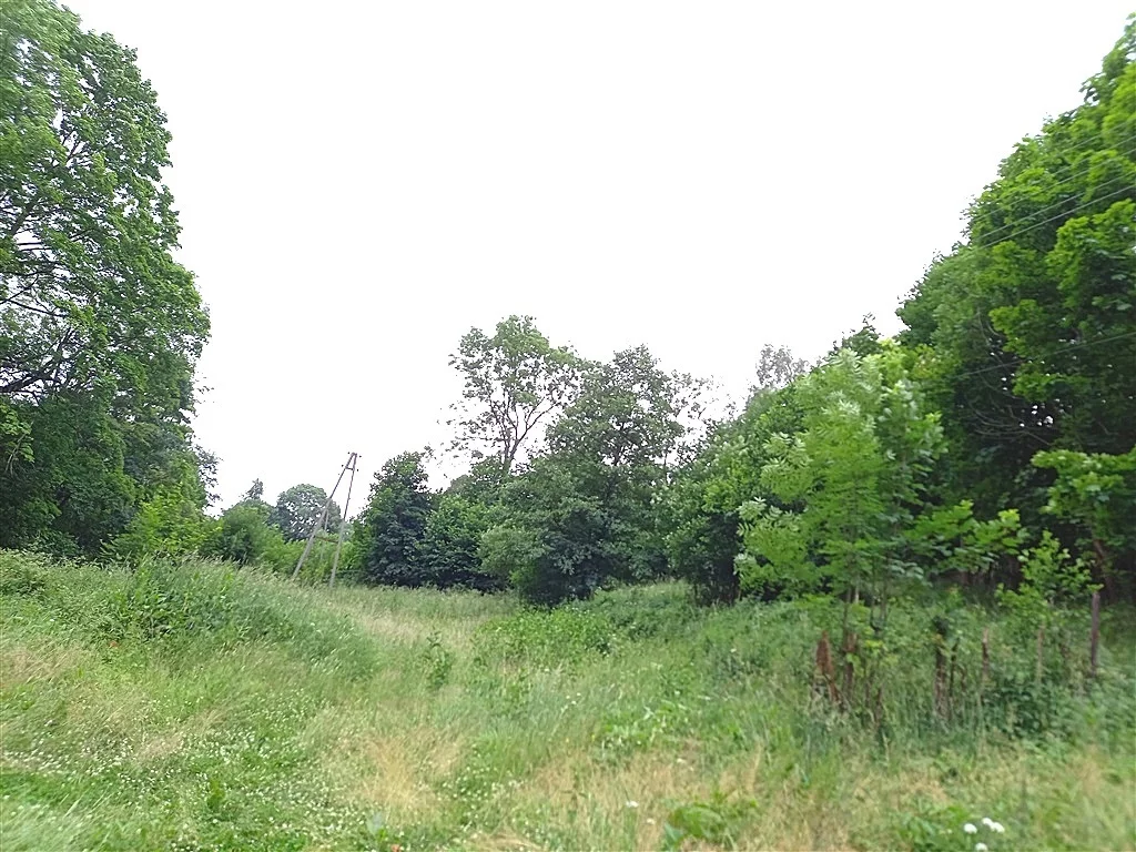 Dom 200,00 m², oferta nr , 152/14328/ODS, Walim