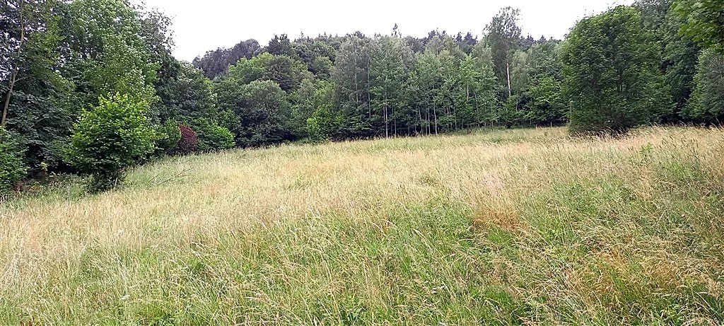 Dom 200,00 m², oferta nr , 152/14328/ODS, Walim