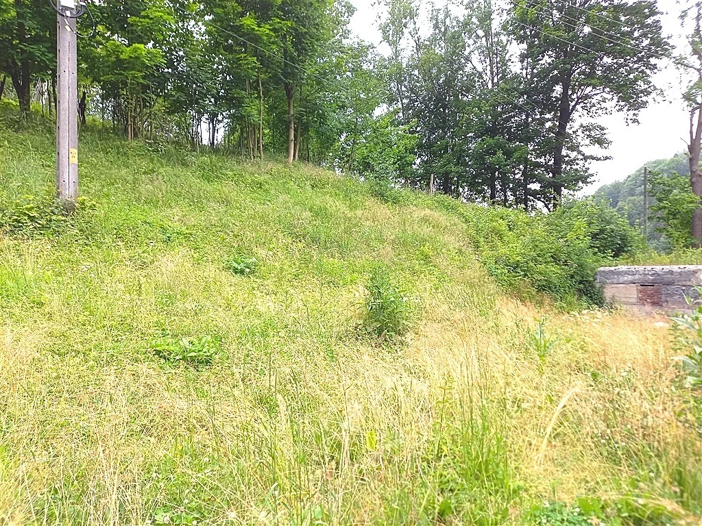 Dom 200,00 m², oferta nr , 152/14328/ODS, Walim