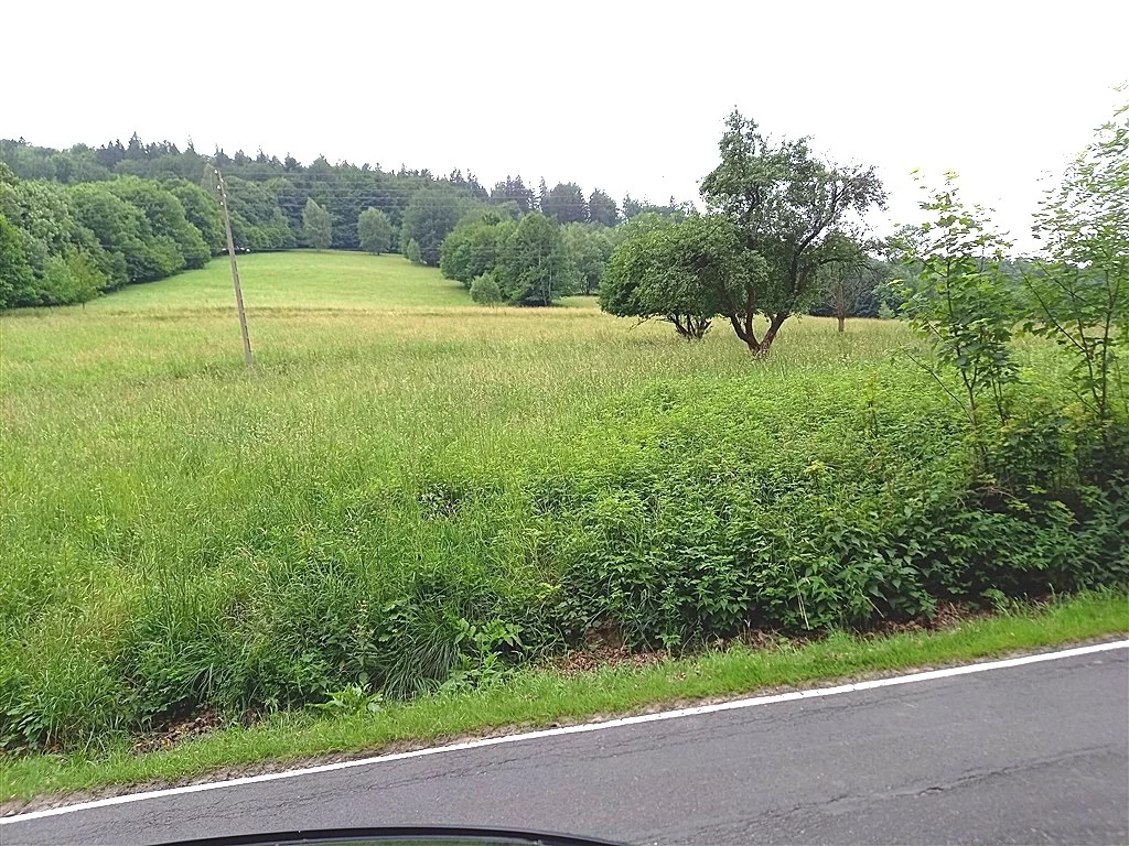 Dom 200,00 m², oferta nr , 152/14328/ODS, Walim