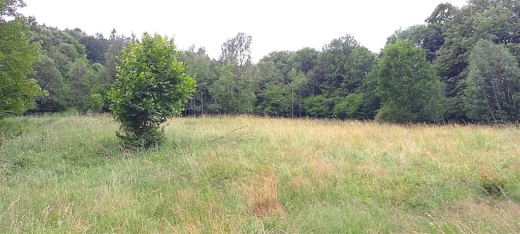 Dom 200,00 m², oferta nr , 152/14328/ODS, Walim
