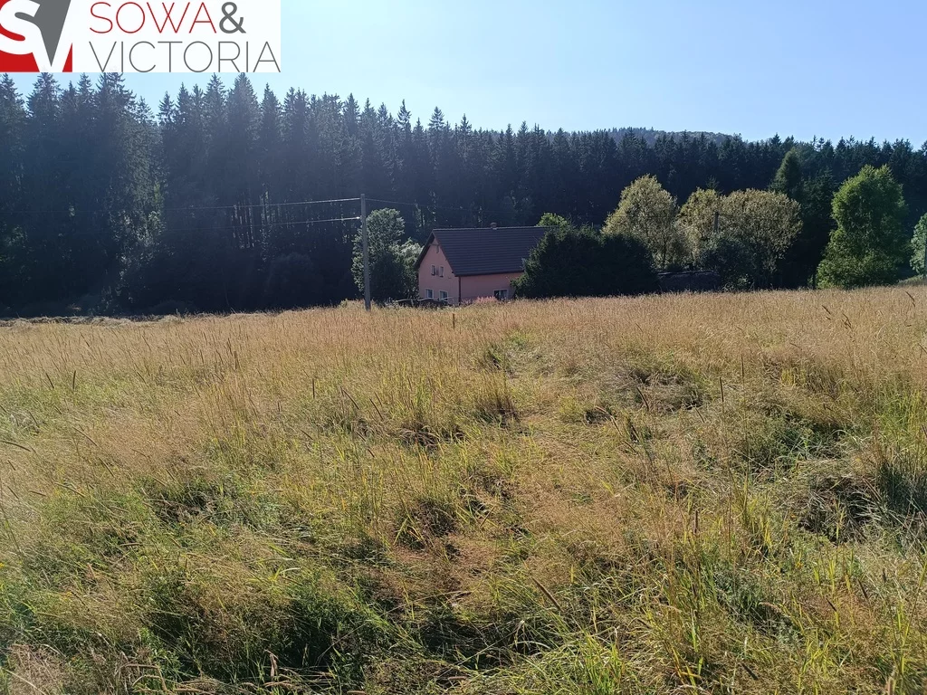 Działka 1 585,00 m², oferta nr , 530/14328/OGS, Bartnica