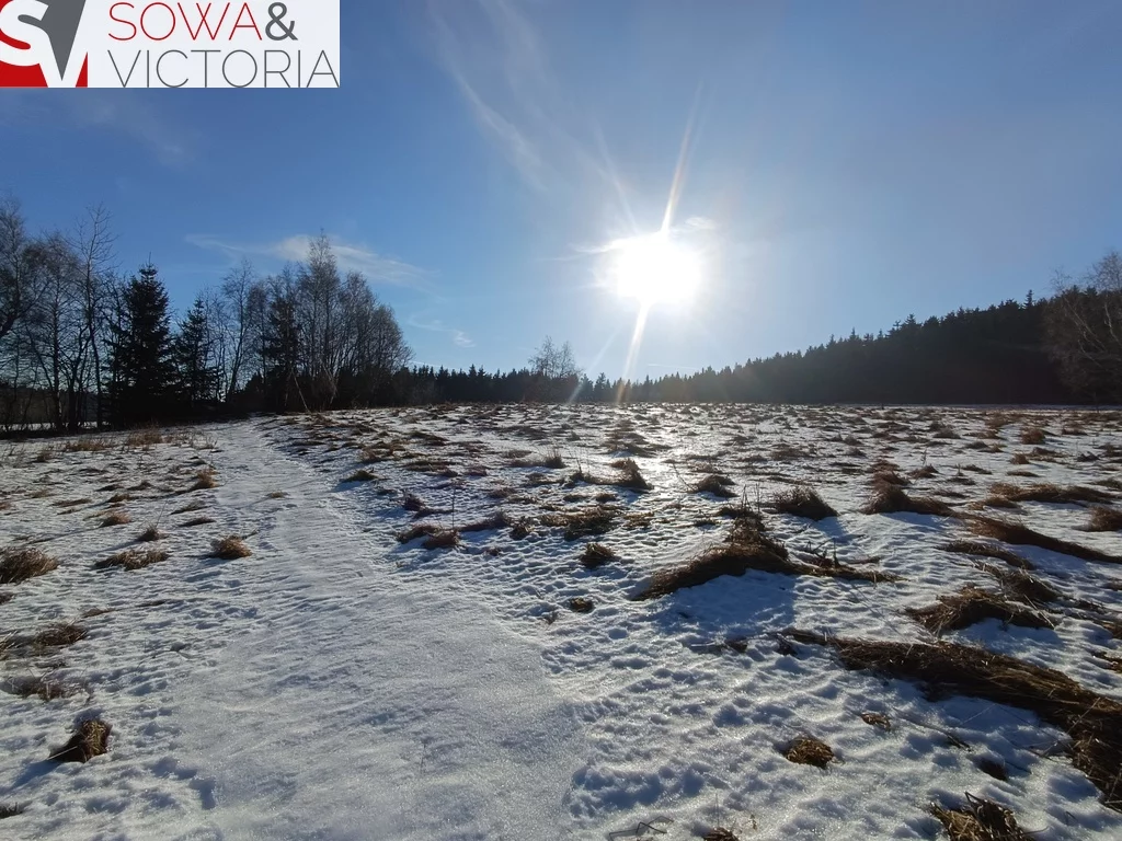 Działka 3 009,00 m², oferta nr , 620/14328/OGS, Bartnica