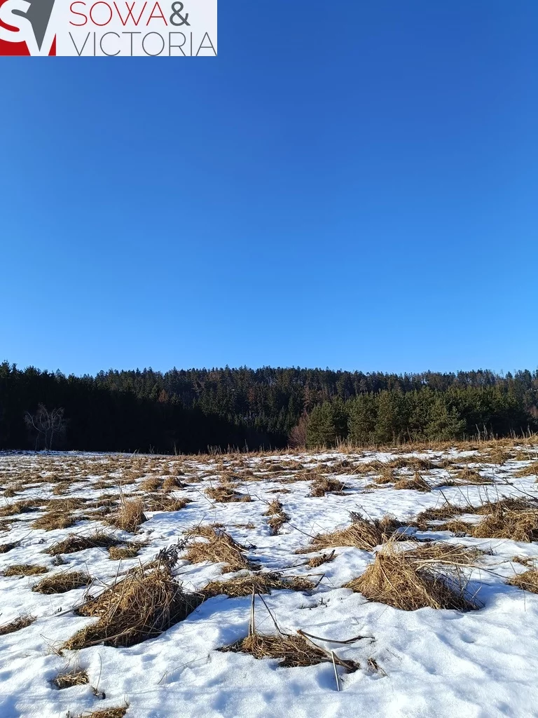 Działka 3 009,00 m², oferta nr , 620/14328/OGS, Bartnica