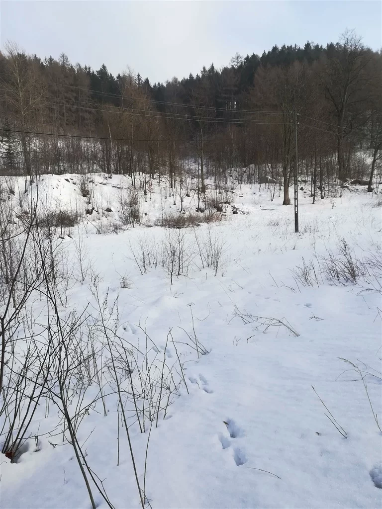 Działka 4 600,00 m², oferta nr , 542/14328/OGS, Boguszów-Gorce