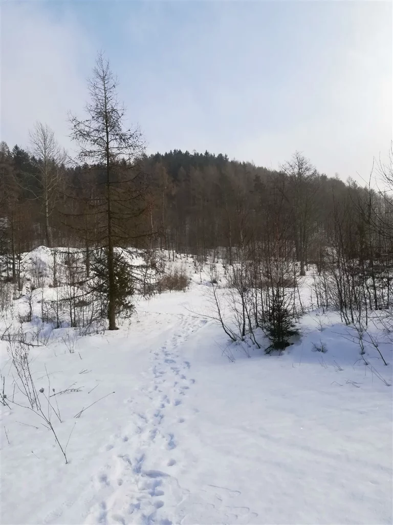 Działka 4 600,00 m², oferta nr , 542/14328/OGS, Boguszów-Gorce
