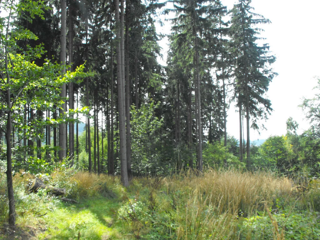 Działka 80 000,00 m², oferta nr , 5/14328/OGS, Boguszów-Gorce
