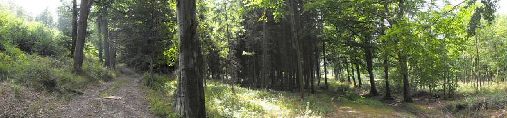 Działka 80 000,00 m², oferta nr , 5/14328/OGS, Boguszów-Gorce