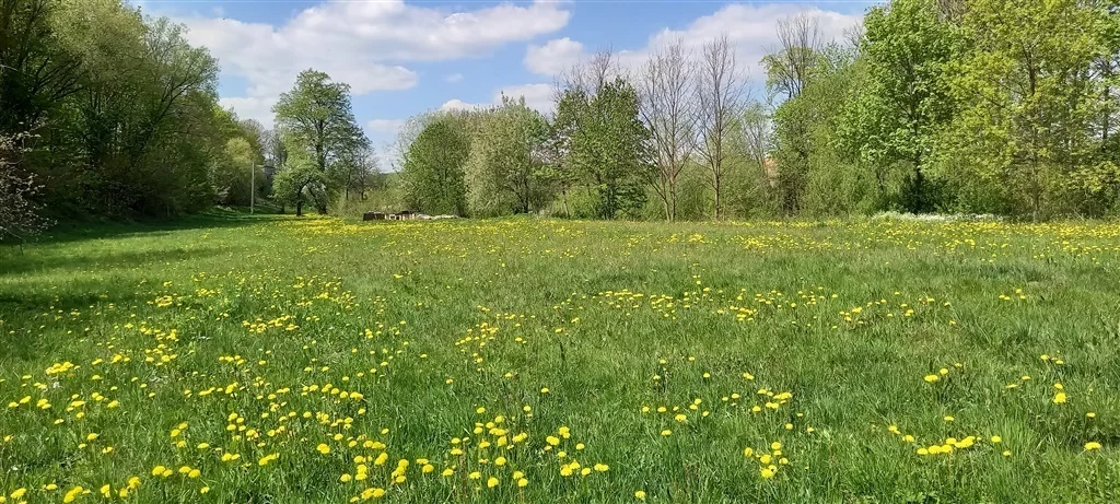 Działka 3 900,00 m², Bolków, Sprzedaż