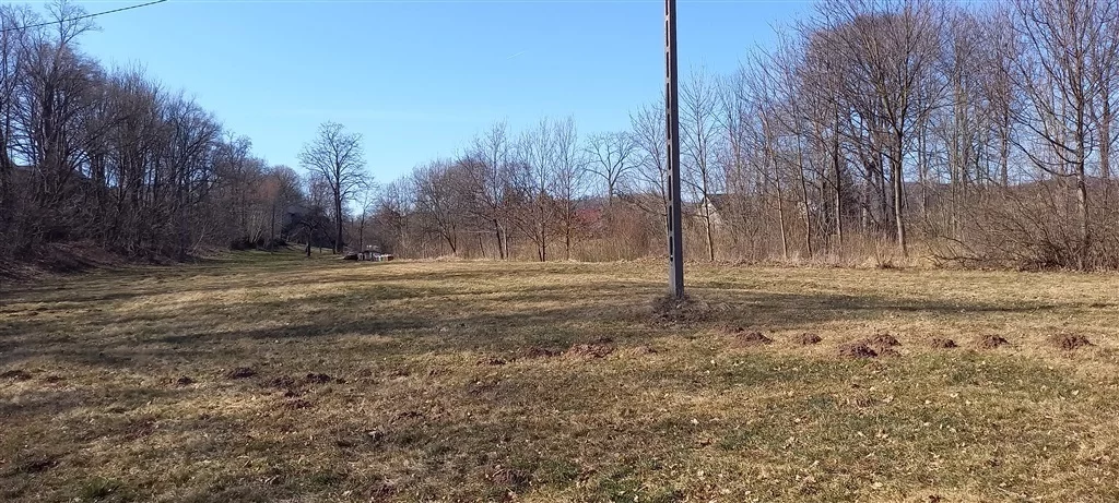 Działka 3 900,00 m², oferta nr , 312/14328/OGS, Bolków