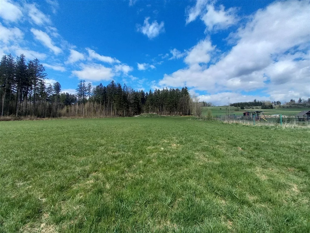 Działka 9 400,00 m², oferta nr , 543/14328/OGS, Borówno