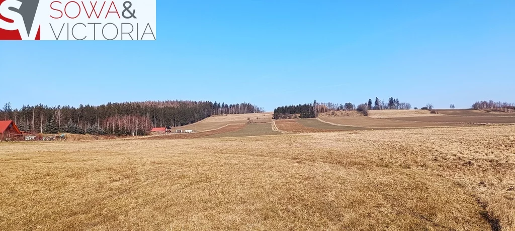 Działka 1 893,00 m², oferta nr , 716/14328/OGS, Borówno