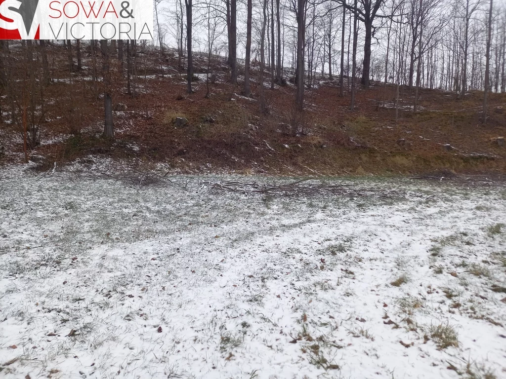 Działka 5 500,00 m², oferta nr , 709/14328/OGS, Chwaliszów