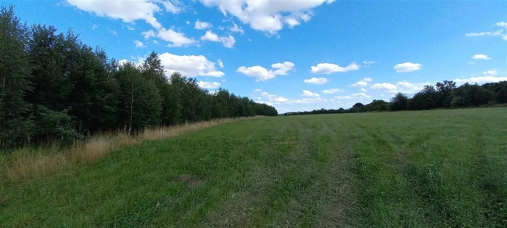Działka 3 046,00 m², oferta nr , 180/14328/OGS, Cieszów