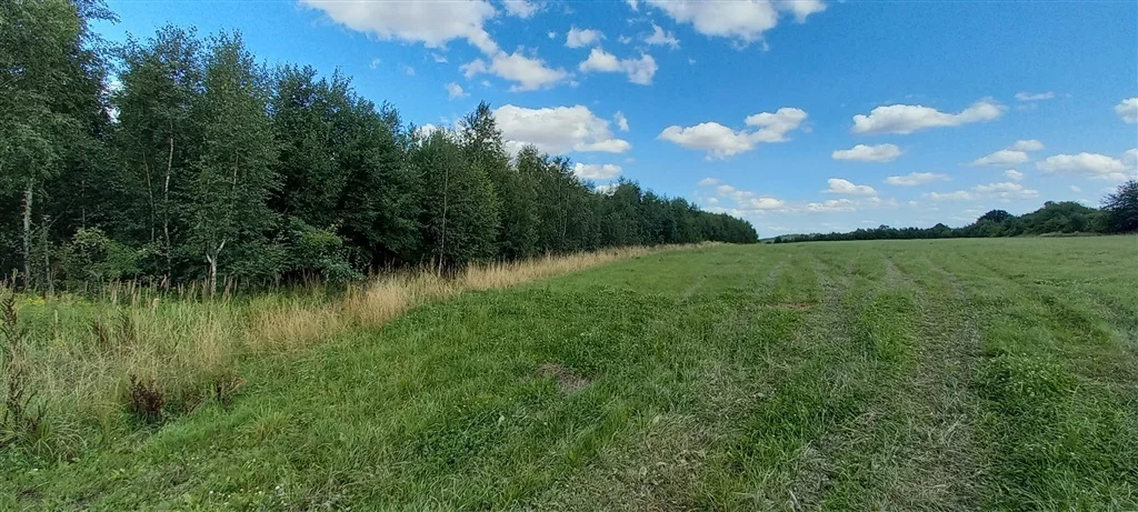 Działka 3 046,00 m², oferta nr , 180/14328/OGS, Cieszów