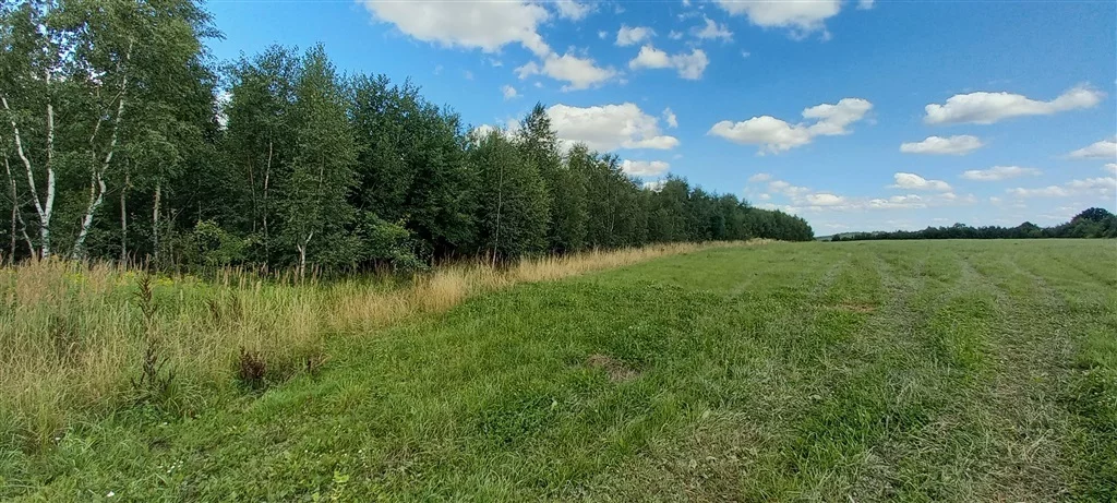 Działka 3 046,00 m², oferta nr , 180/14328/OGS, Cieszów
