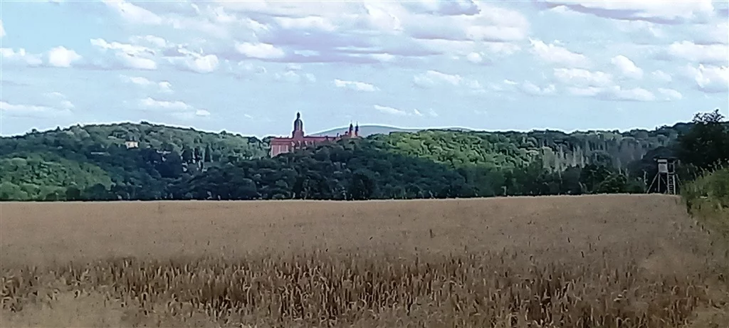Działka 4 969,00 m², oferta nr , 181/14328/OGS, Cieszów
