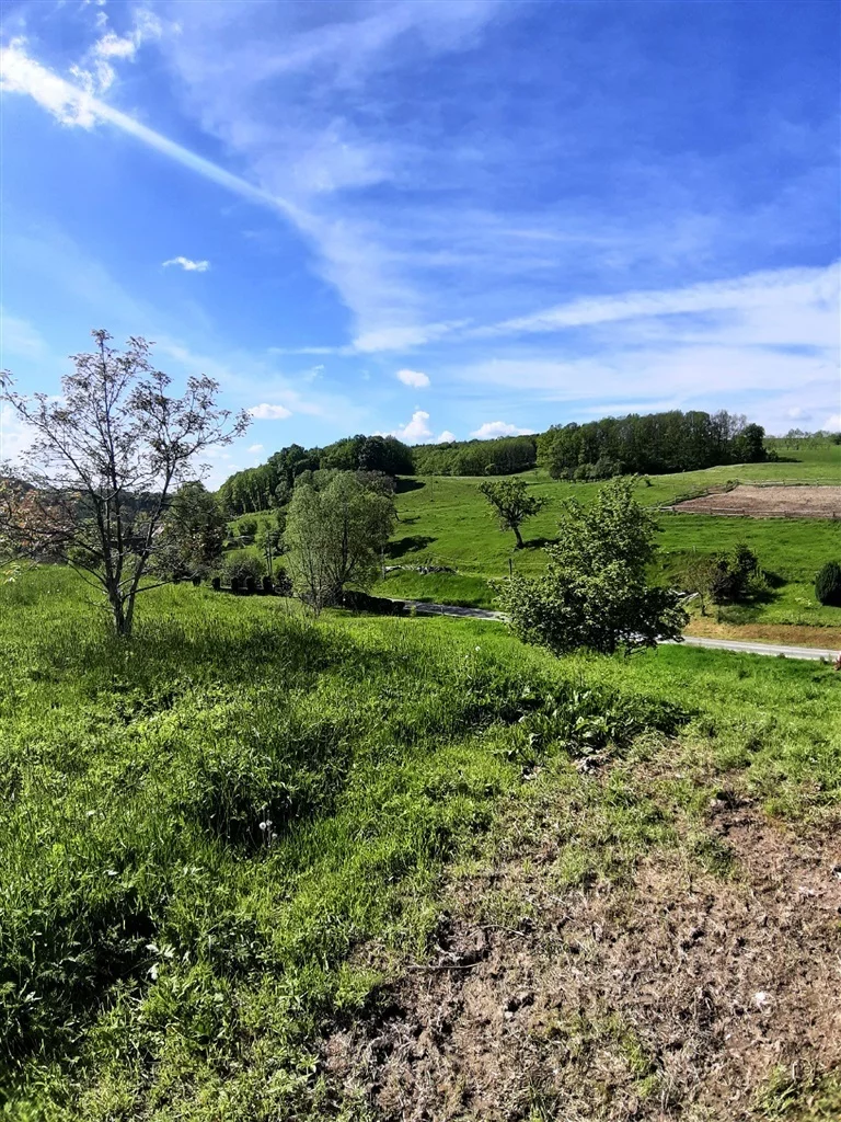 Działka 1 334,00 m², oferta nr , 346/14328/OGS, Cieszów