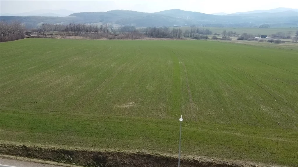 Działka 1 735,00 m², oferta nr , 528/14328/OGS, Dziećmorowice
