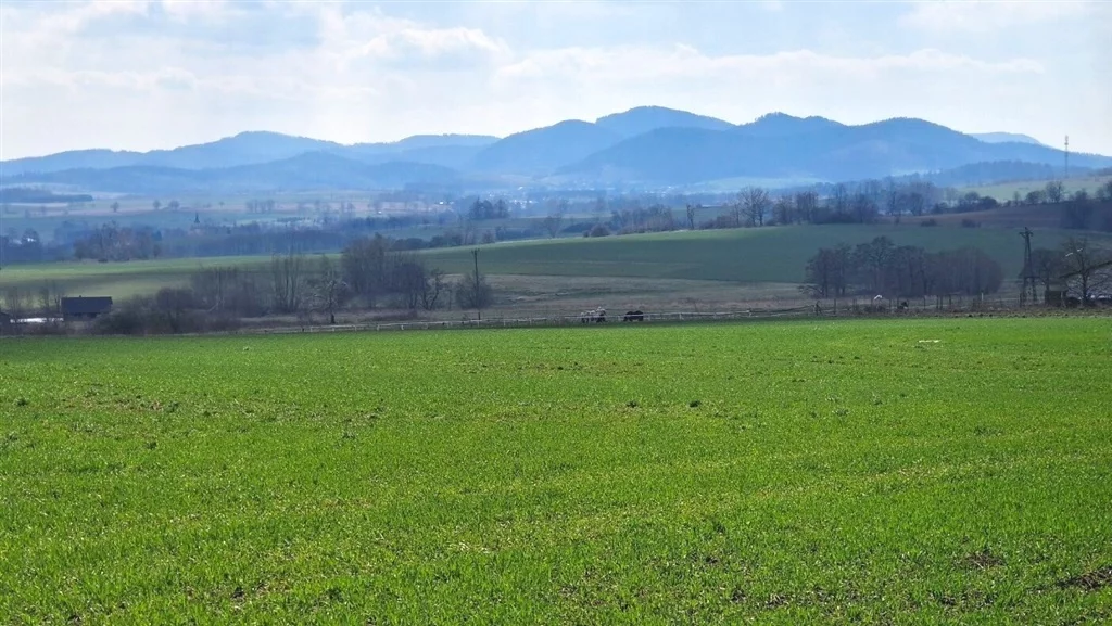 Działka 1 735,00 m², oferta nr , 528/14328/OGS, Dziećmorowice