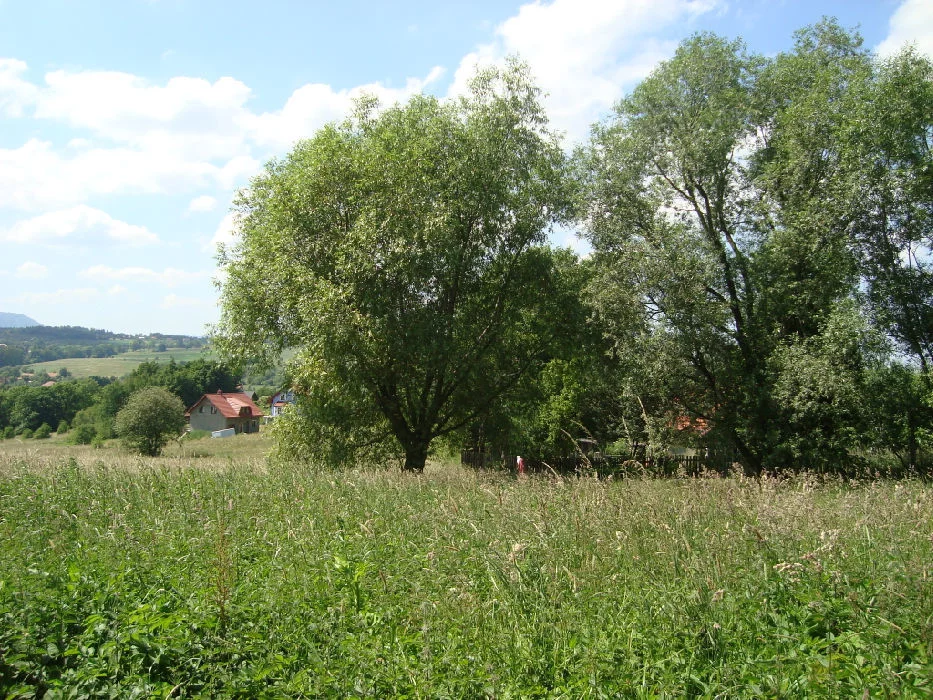 Działka 4 284,00 m², oferta nr , 61/14328/OGS, Dziećmorowice