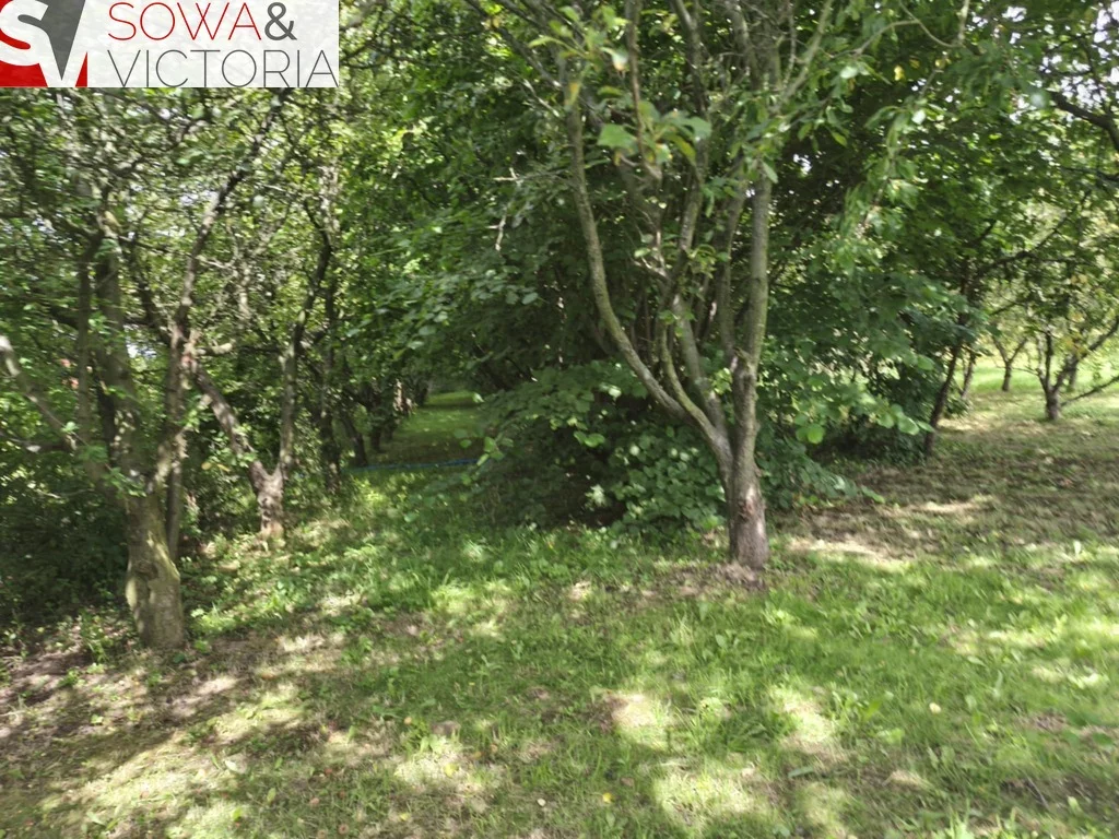 Działka 4 900,00 m², oferta nr , 785/14328/OGS, Dziećmorowice