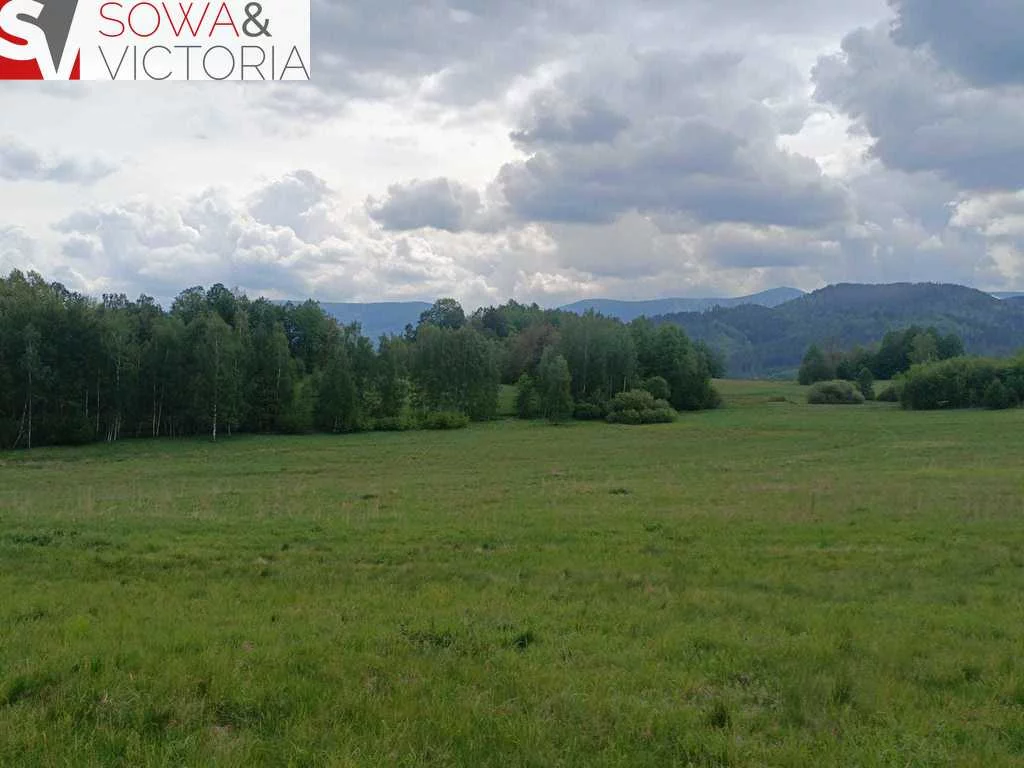 Działka 79 700,00 m², oferta nr , 646/14328/OGS, Głębock