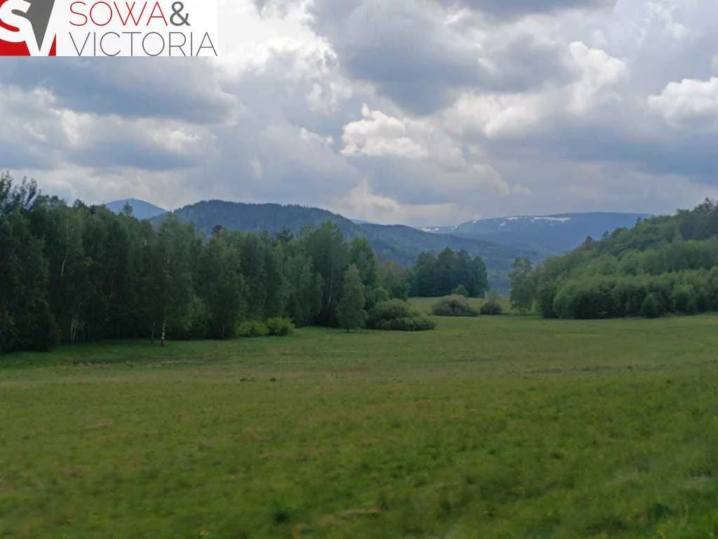 Działka 79 700,00 m², oferta nr , 646/14328/OGS, Głębock