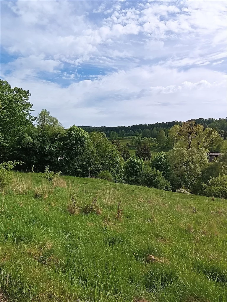 Działka 1 909,00 m², oferta nr , 323/14328/OGS, Głuszyca