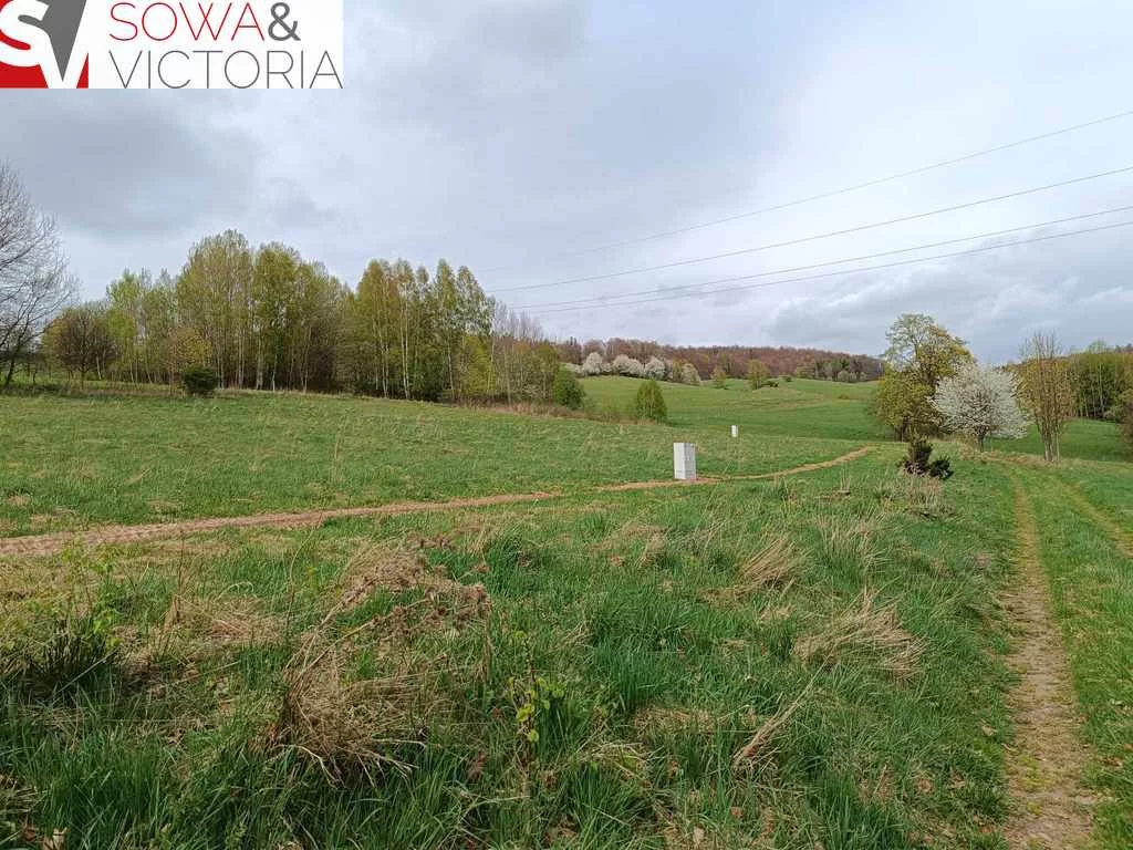 Działka 1 341,00 m², oferta nr , 355/14328/OGS, Głuszyca