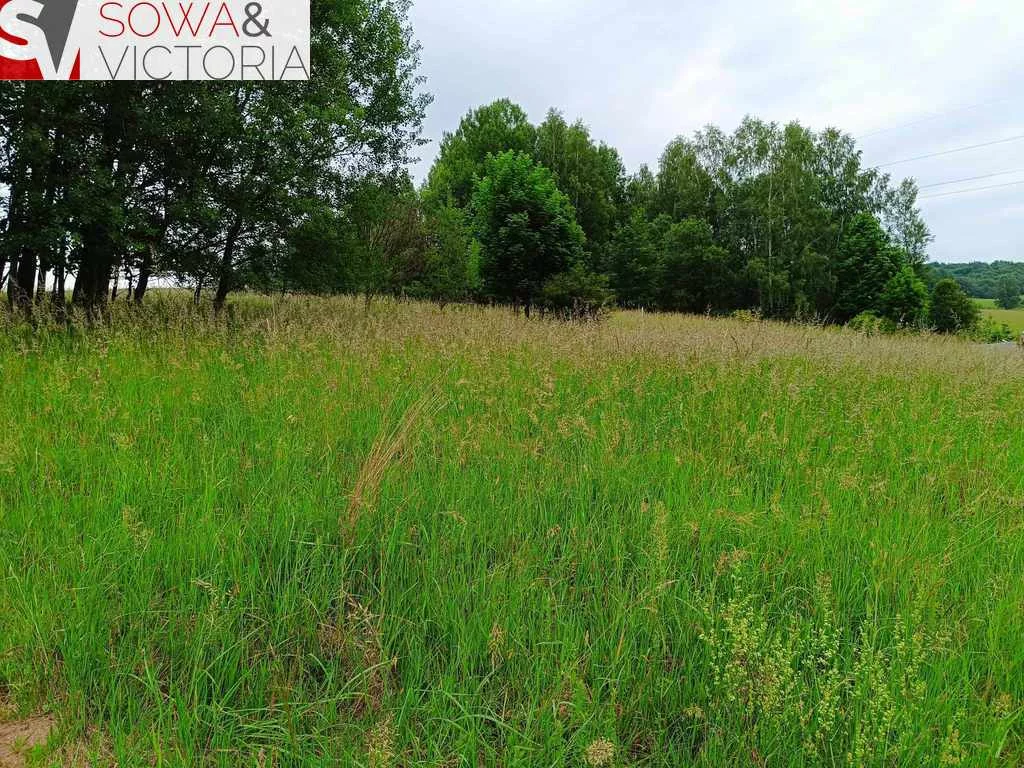Działka 1 519,00 m², oferta nr , 612/14328/OGS, Głuszyca