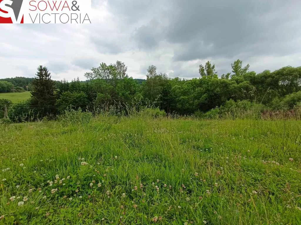 Działka 1 519,00 m², oferta nr , 612/14328/OGS, Głuszyca
