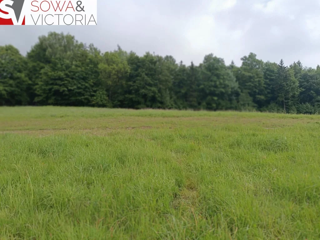 Działka 2 016,00 m², oferta nr , 761/14328/OGS, Głuszyca