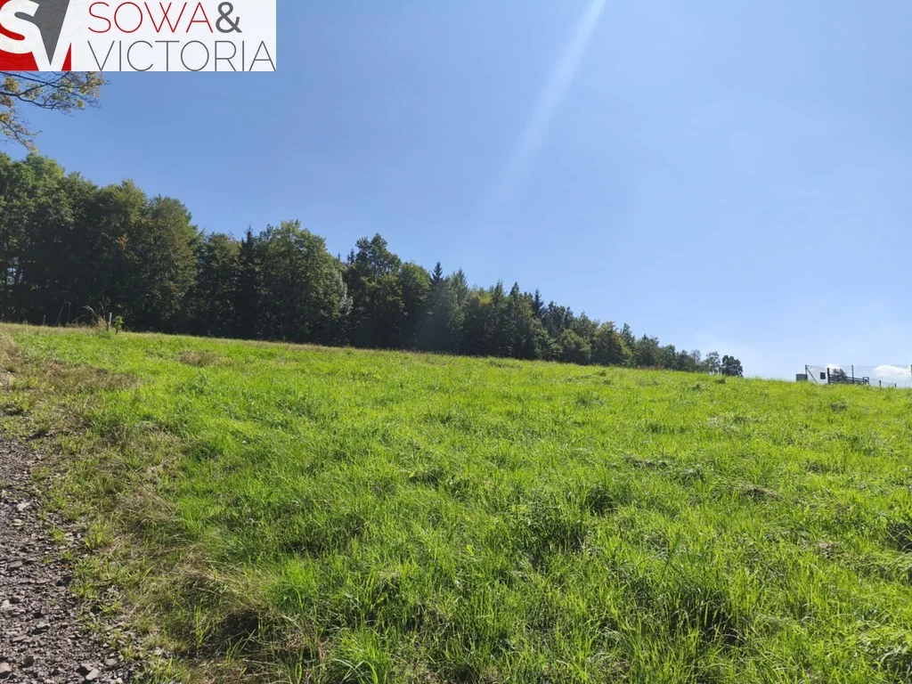Działka 2 016,00 m², oferta nr , 761/14328/OGS, Głuszyca