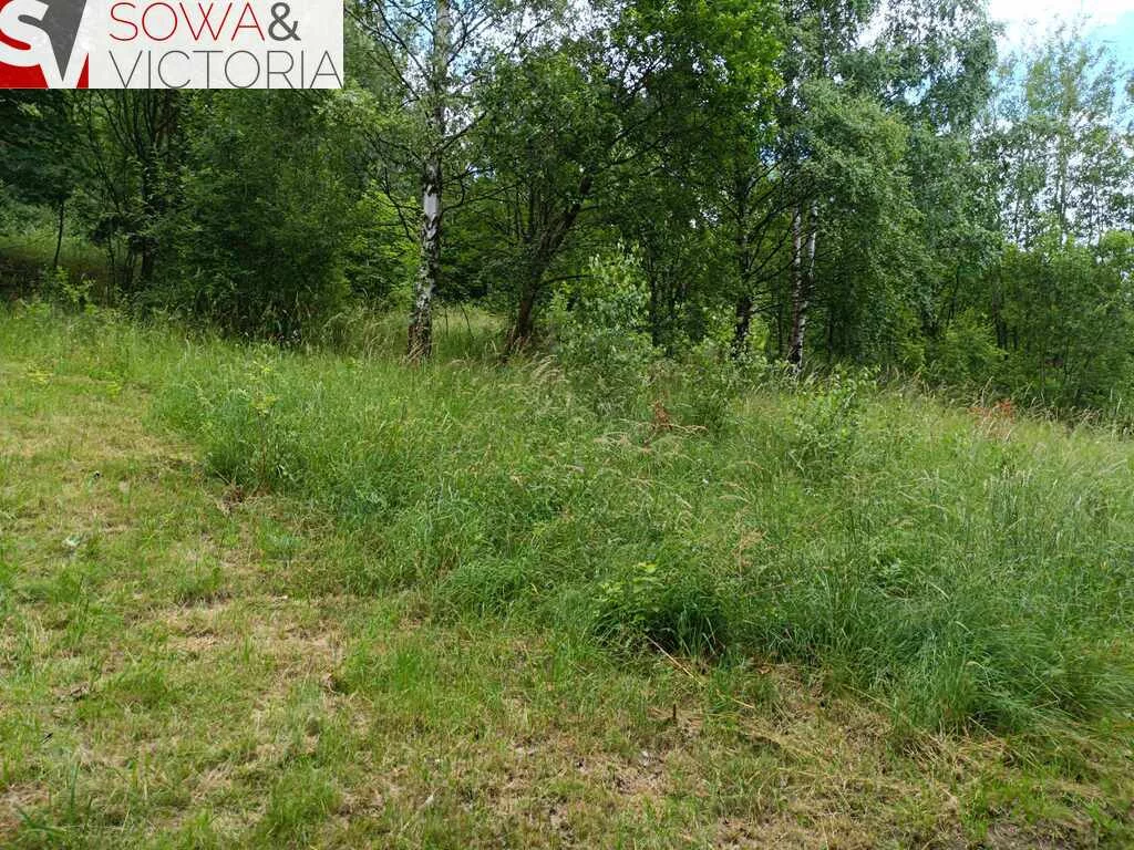 Działka na sprzedaż, 3 100,00 m², oferta nr 669/14328/OGS