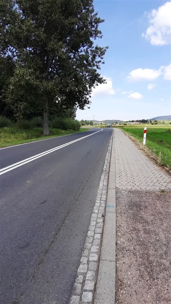Działka 18 400,00 m², oferta nr , 163/14328/OGS, Golińsk