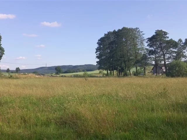 Działka 3 500,00 m², oferta nr , 316/14328/OGS, Gorzeszów