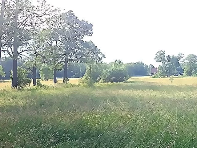 Działka 3 500,00 m², oferta nr , 316/14328/OGS, Gorzeszów