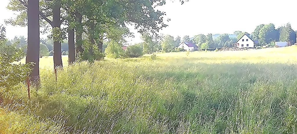 Działka 3 500,00 m², oferta nr , 316/14328/OGS, Gorzeszów