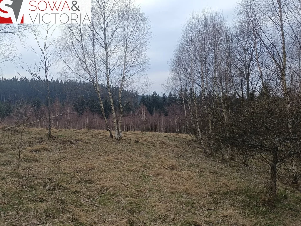 Działka 5 216,00 m², oferta nr , 749/14328/OGS, Grzędy
