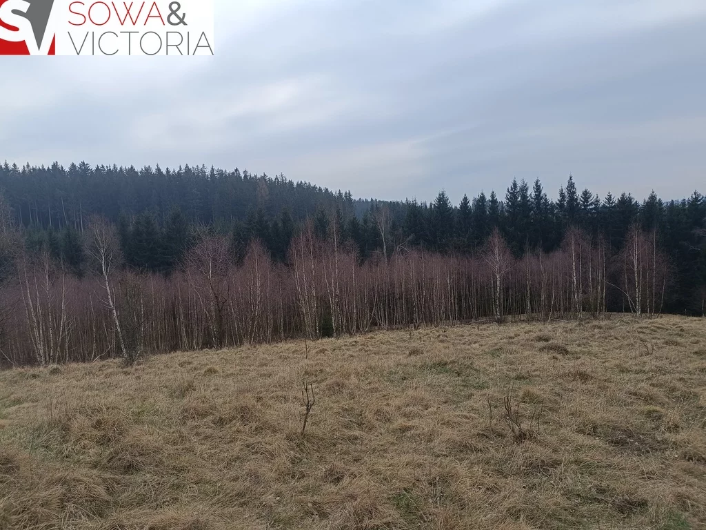 749/14328/OGS - zdjęcie nr 4