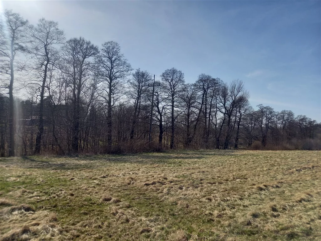 Działka 20 340,00 m², oferta nr , 296/14328/OGS, Jabłów