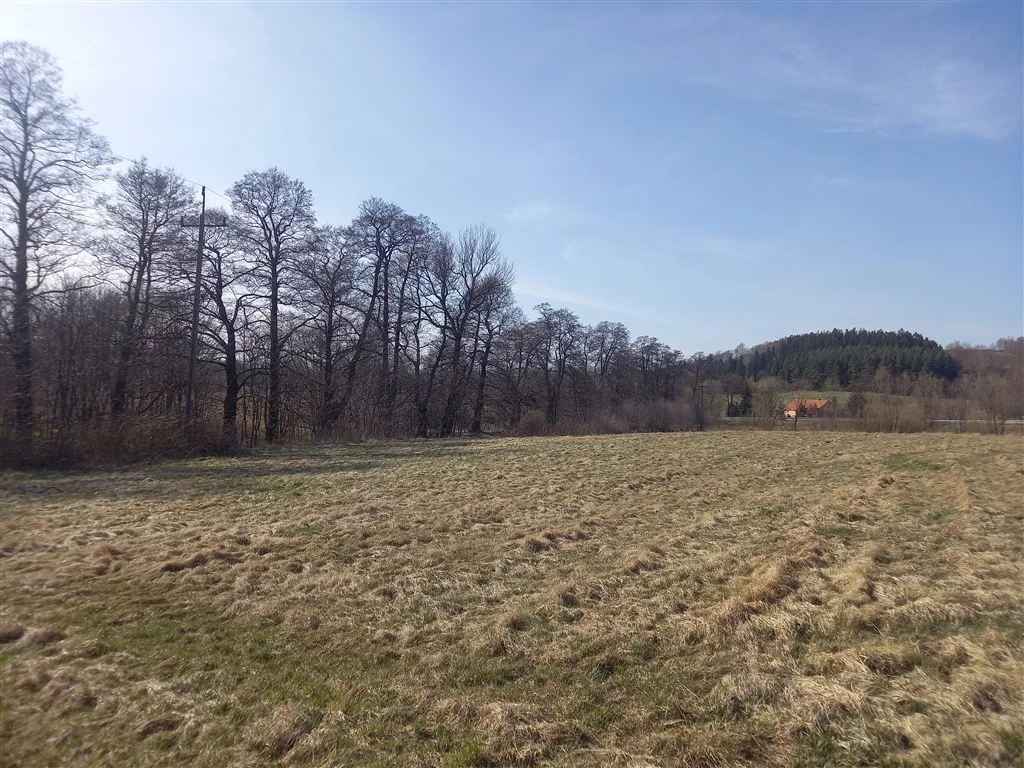 Działka 20 340,00 m², oferta nr , 296/14328/OGS, Jabłów