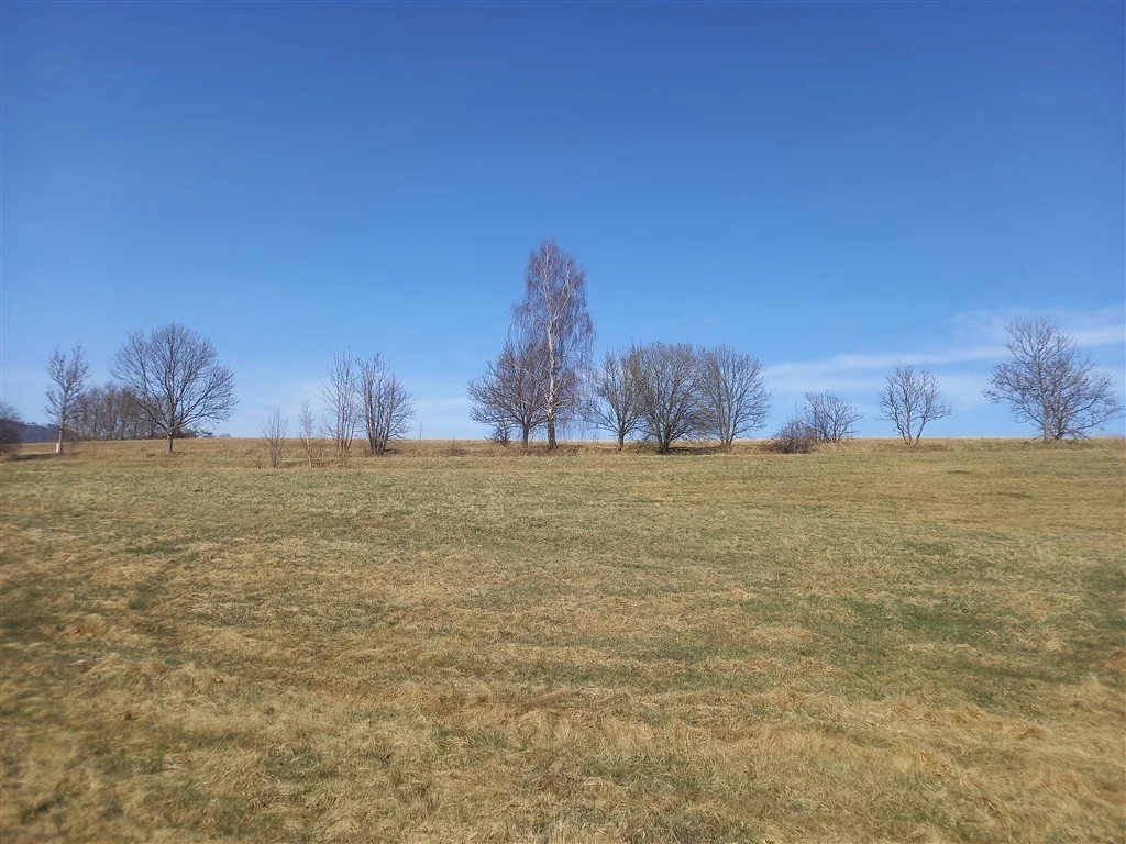 Działka 20 340,00 m², oferta nr , 296/14328/OGS, Jabłów
