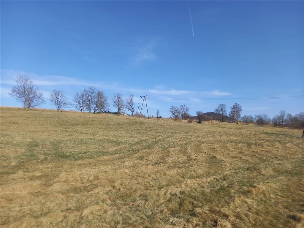 Działka 20 340,00 m², oferta nr , 296/14328/OGS, Jabłów