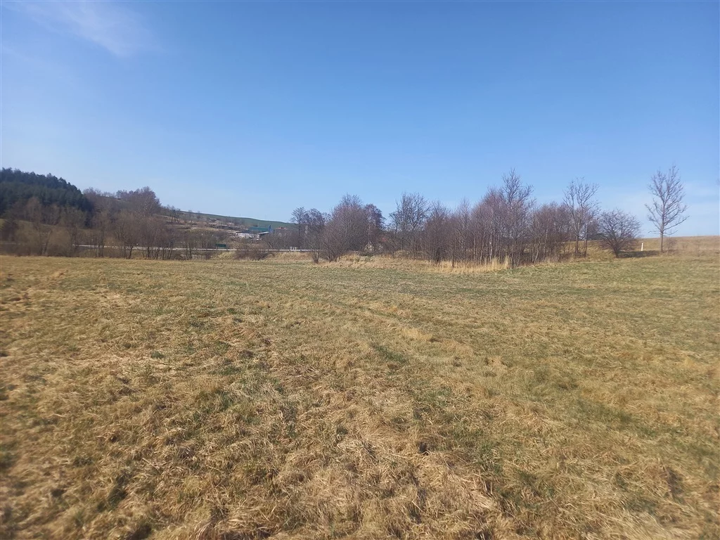 Działka 20 340,00 m², oferta nr , 296/14328/OGS, Jabłów