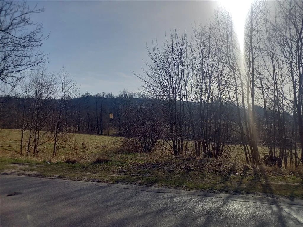 Działka 20 340,00 m², oferta nr , 296/14328/OGS, Jabłów